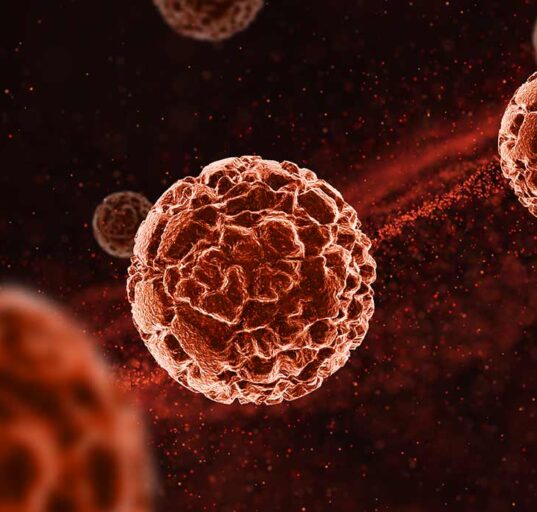 b-cell-depletion-enhances-protective-gut-derived-cells-in-multiple-sclerosis