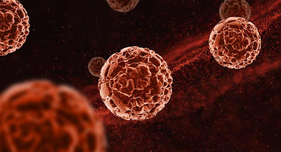b-cell-depletion-enhances-protective-gut-derived-cells-in-multiple-sclerosis