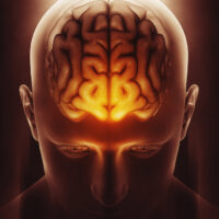 brain-structures-interlinked-in-sleep-dependent-memory-consolidation