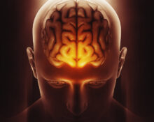 brain-structures-interlinked-in-sleep-dependent-memory-consolidation