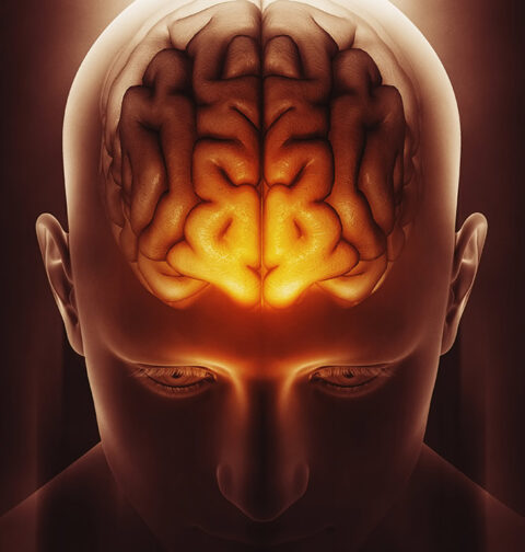 brain-structures-interlinked-in-sleep-dependent-memory-consolidation