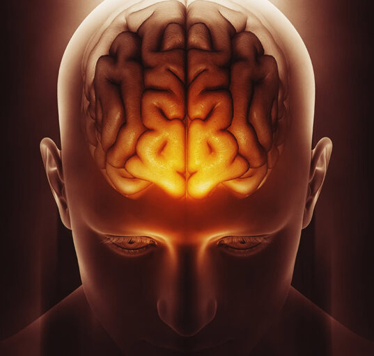 brain-structures-interlinked-in-sleep-dependent-memory-consolidation