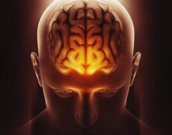 brain-structures-interlinked-in-sleep-dependent-memory-consolidation