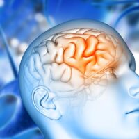 examining-brain-immune-cells-in-alzheimers-disease-progression