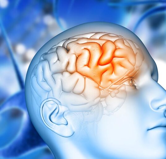 examining-brain-immune-cells-in-alzheimers-disease-progression