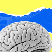 most-powerful-ways-neuroplasticity-changes-the-brain