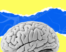 most-powerful-ways-neuroplasticity-changes-the-brain