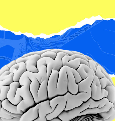 most-powerful-ways-neuroplasticity-changes-the-brain