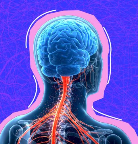 neuroinflammation-and-its-effects-on-mental-health