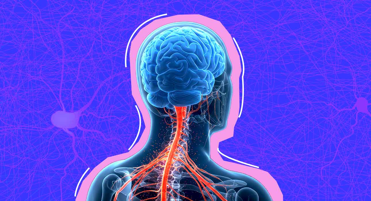neuroinflammation-and-its-effects-on-mental-health