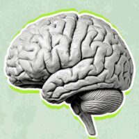oxytocin-the-complex-science-of-the-love-hormone