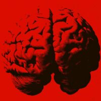 the-split-brain-patients-who-changed-our-understanding-of-consciousness