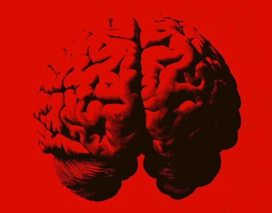 the-split-brain-patients-who-changed-our-understanding-of-consciousness