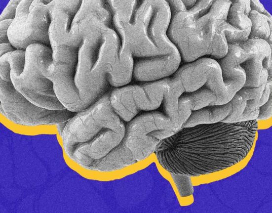 the-split-brain-patients-who-changed-our-understanding-of-consciousness