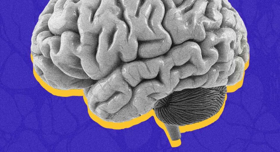 the-split-brain-patients-who-changed-our-understanding-of-consciousness