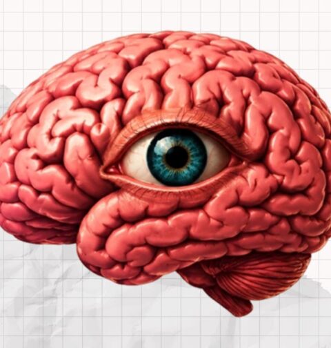 visual-agnosia-and-achromatopsia-understanding-the-brains-visual-disorders