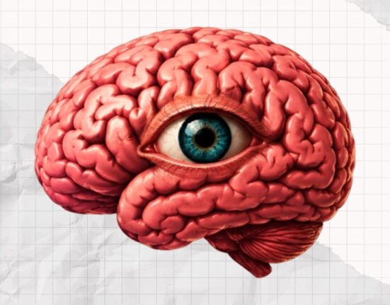 visual-agnosia-and-achromatopsia-understanding-the-brains-visual-disorders