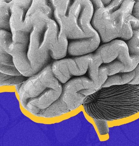 we-use-only-10-of-our-brain-myth-or-fact