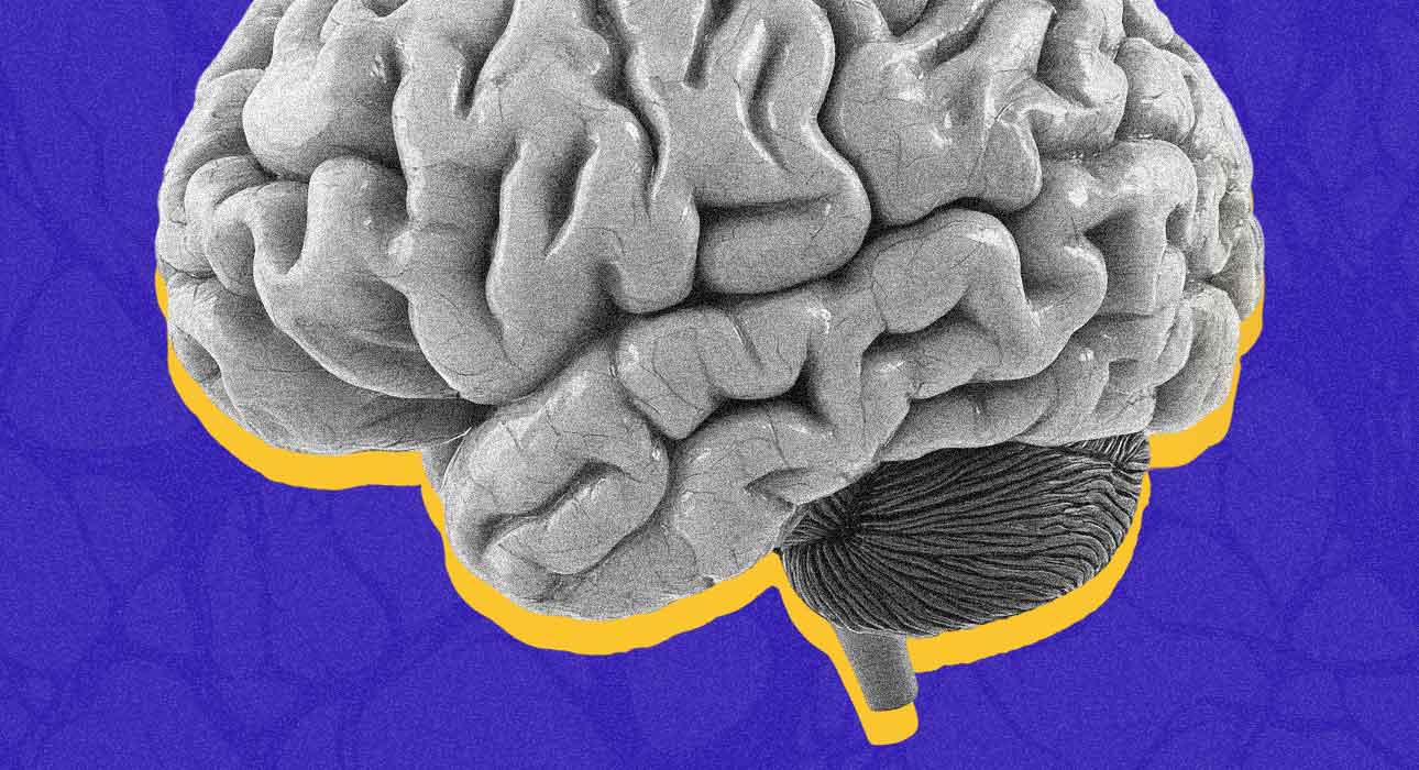 we-use-only-10-of-our-brain-myth-or-fact