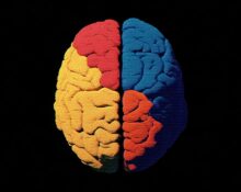 cognitive-load-theory-why-information-overwhelms-us