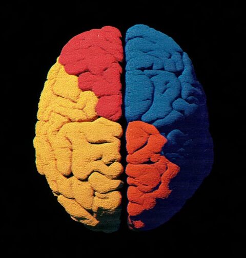 cognitive-load-theory-why-information-overwhelms-us