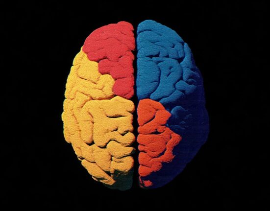 cognitive-load-theory-why-information-overwhelms-us