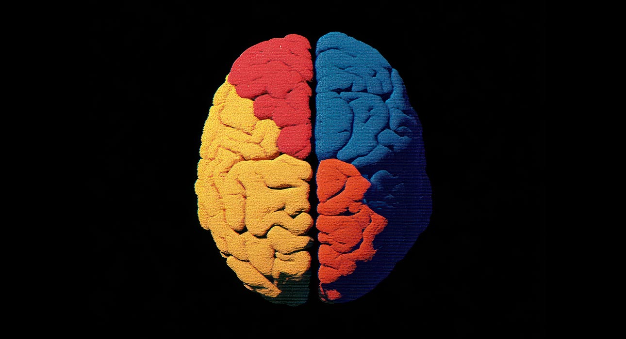 cognitive-load-theory-why-information-overwhelms-us