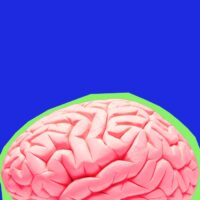 how-ocd-affects-brain-circuits