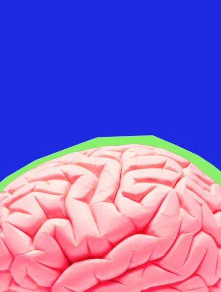 how-ocd-affects-brain-circuits