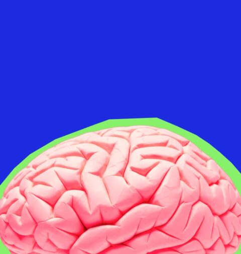 how-ocd-affects-brain-circuits