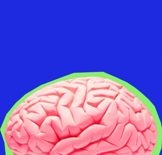 how-ocd-affects-brain-circuits