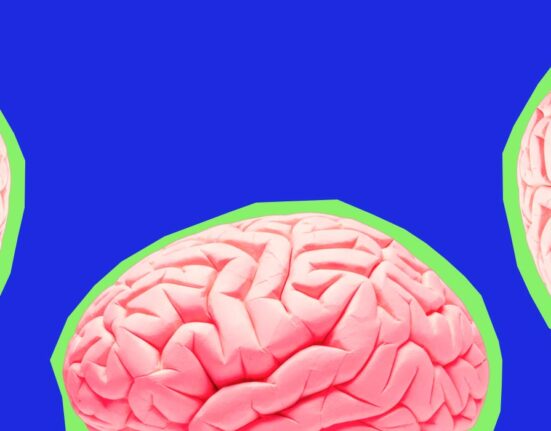 how-ocd-affects-brain-circuits