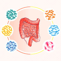 the-role-of-gut-microbiota-in-mood-and-mental-disorders