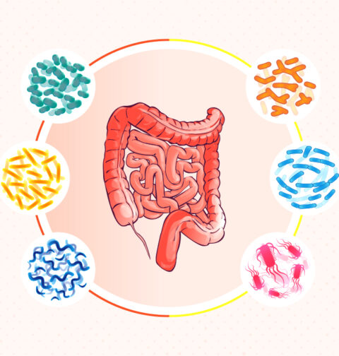 the-role-of-gut-microbiota-in-mood-and-mental-disorders