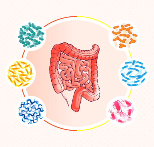 the-role-of-gut-microbiota-in-mood-and-mental-disorders