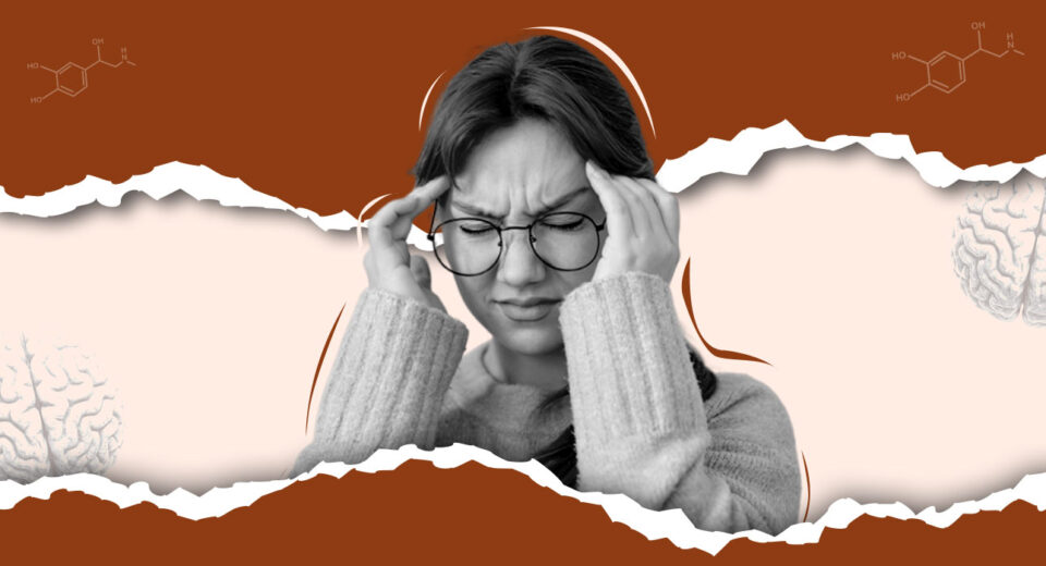 what-is-adrenaline-understanding-the-bodys-stress-hormone