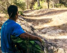 what-is-solastalgia-understanding-the-psychology-of-environmental-loss