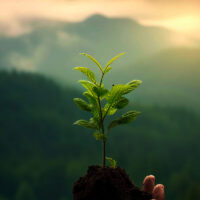 10-research-backed-habits-to-develop-a-growth-mindset