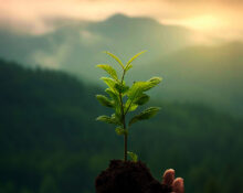 10-research-backed-habits-to-develop-a-growth-mindset