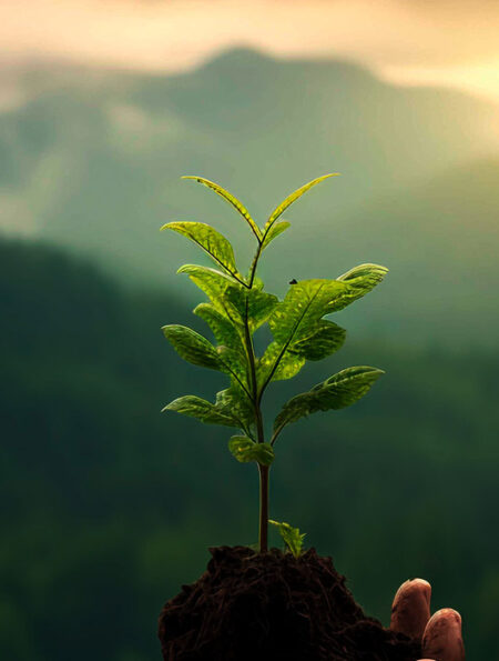 10-research-backed-habits-to-develop-a-growth-mindset