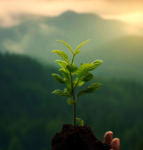 10-research-backed-habits-to-develop-a-growth-mindset