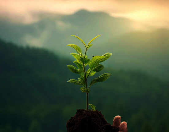 10-research-backed-habits-to-develop-a-growth-mindset
