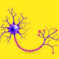 6-mind-blowing-neuroscience-facts-about-the-human-brain