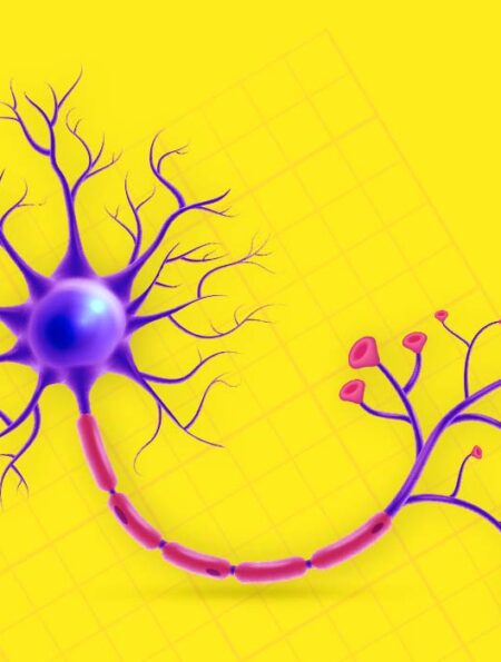 6-mind-blowing-neuroscience-facts-about-the-human-brain