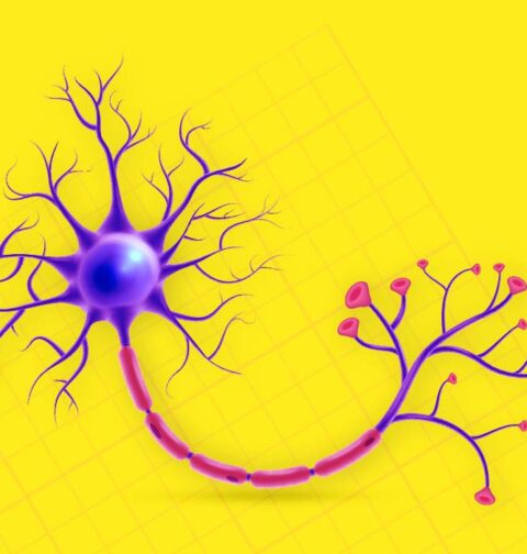6-mind-blowing-neuroscience-facts-about-the-human-brain
