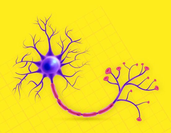 6-mind-blowing-neuroscience-facts-about-the-human-brain