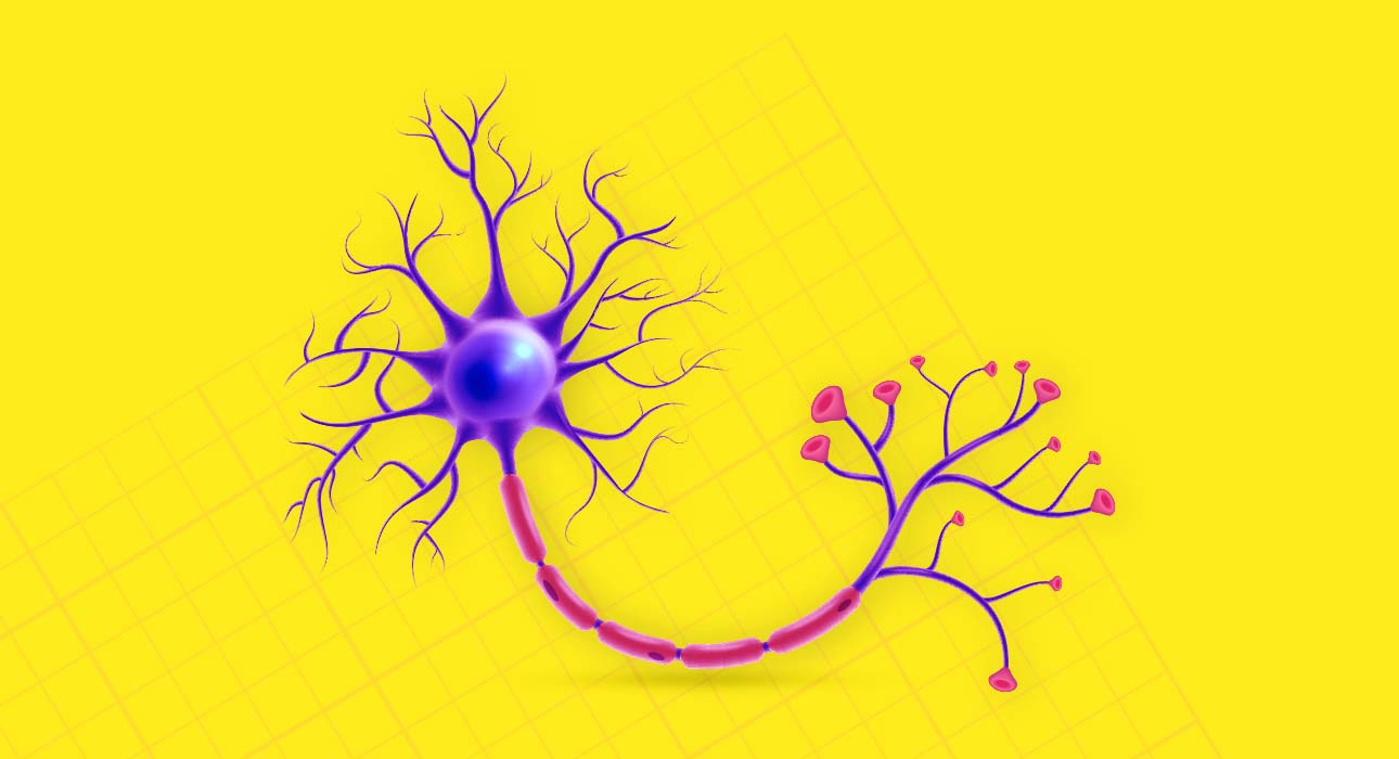 6-mind-blowing-neuroscience-facts-about-the-human-brain