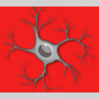 inside-the-brains-immune-system-understanding-the-role-of-microglia
