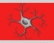 inside-the-brains-immune-system-understanding-the-role-of-microglia