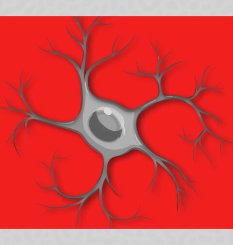 inside-the-brains-immune-system-understanding-the-role-of-microglia